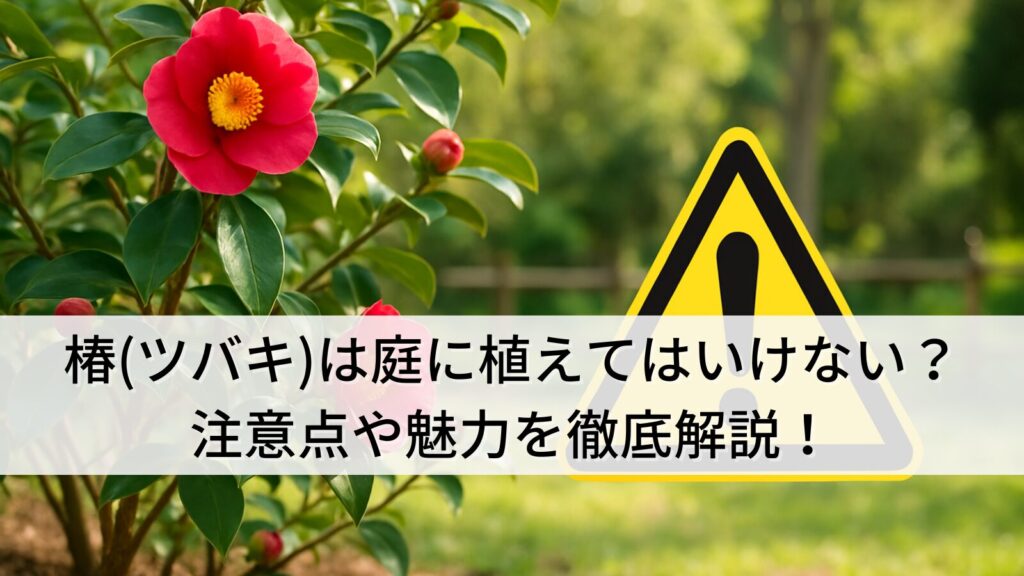 椿(ツバキ)は庭に植えてはいけない？その理由と注意点や魅力を徹底解説！