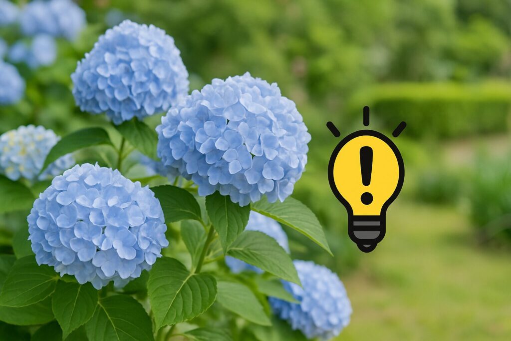庭に植えてはいけないと言われる理由