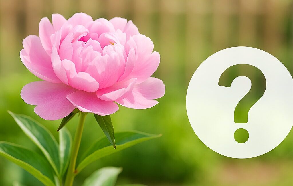 ねむの木は庭に植えてはいけない?まとめ