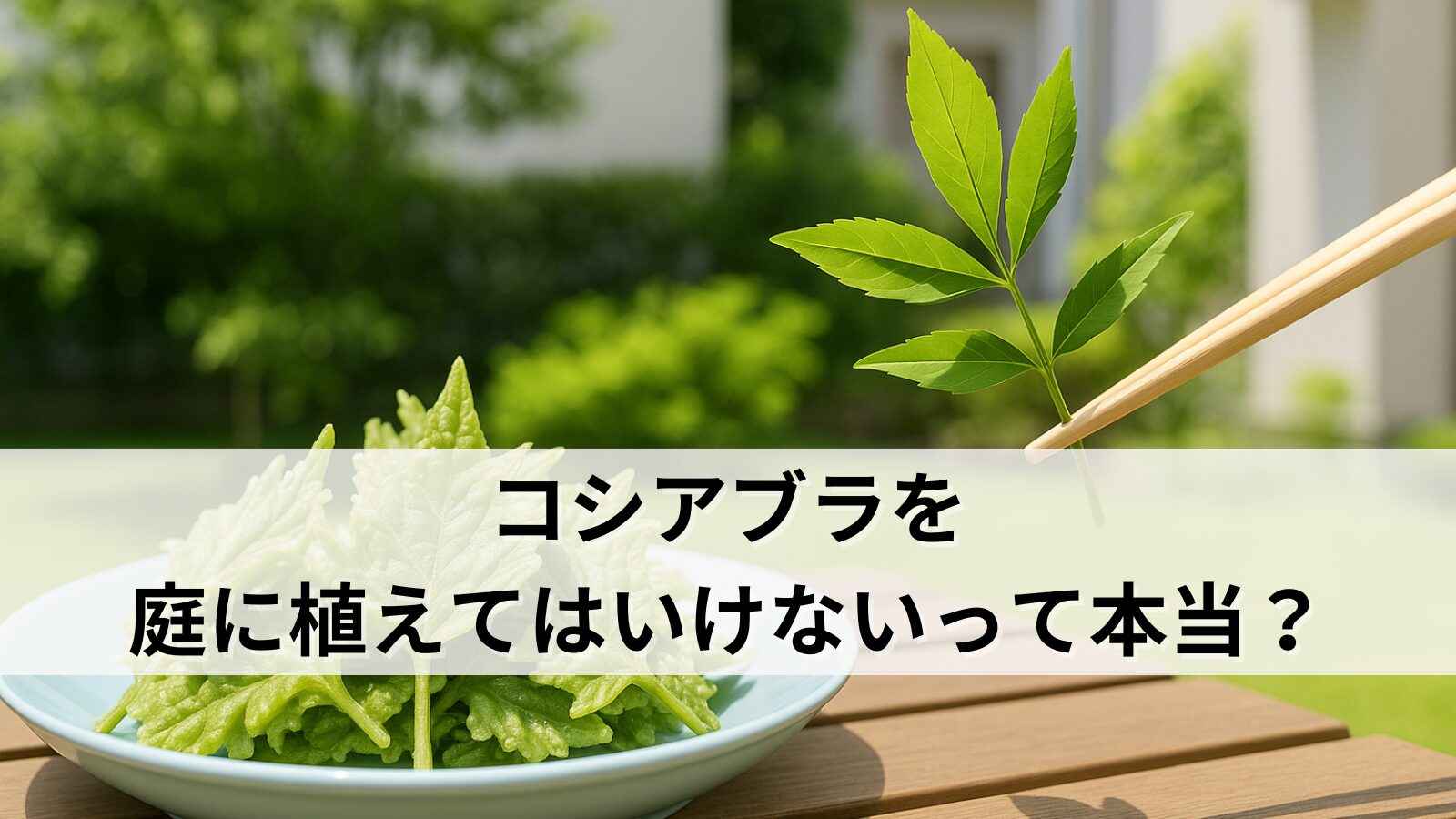 コシアブラを庭に植えてはいけないって本当？