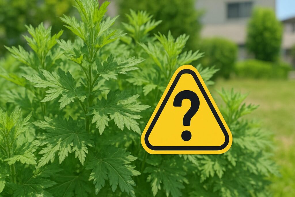 庭に植えてはいけないと言われる理由