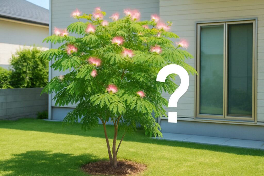 ねむの木は庭に植えてはいけない?まとめ