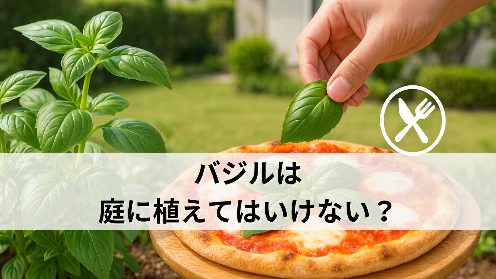 バジルは庭に植えてはいけない？家庭菜園で失敗しないコツと注意点を解説！