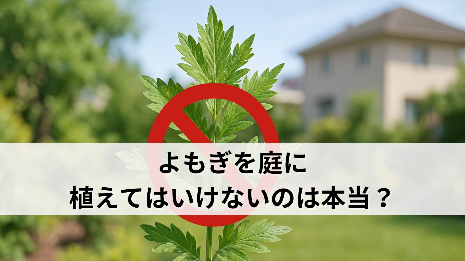 よもぎを庭に植えてはいけないのは本当？