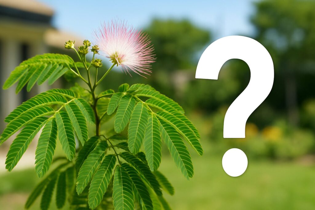 ねむの木は庭に植えてはいけない?
