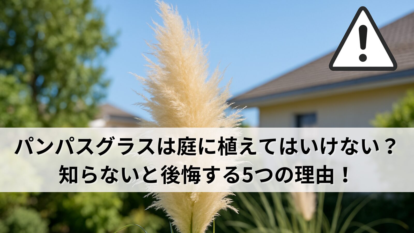 パンパスグラスは庭に植えてはいけない？知らないと後悔する5つの理由！