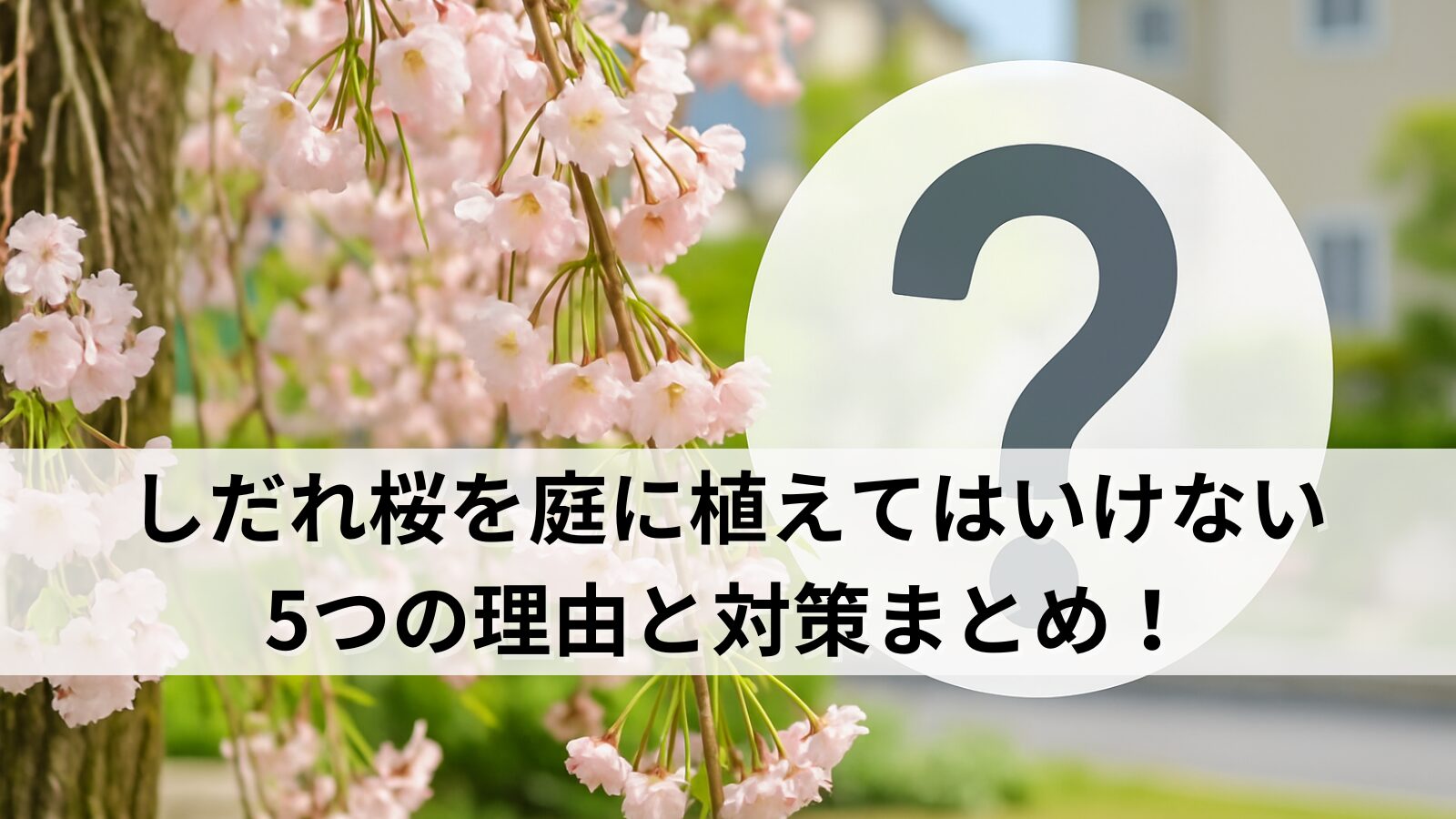 しだれ桜を庭に植えてはいけない5つの理由と対策まとめ！
