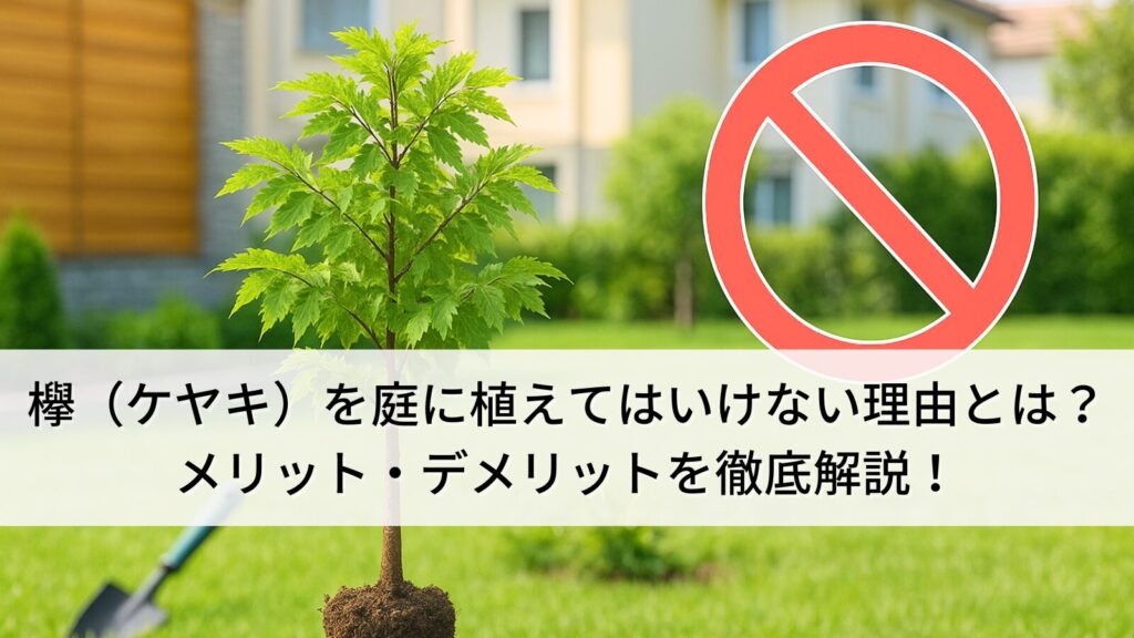 欅の木を庭に植えてはいけない理由とは？メリット・デメリットを徹底解説！